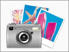 my_web_site002005.jpg